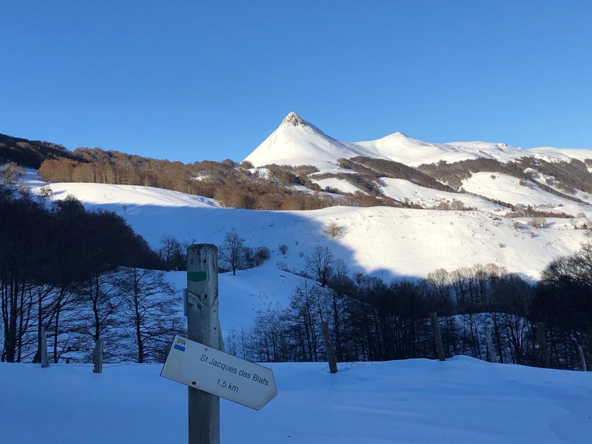 L'Escoundillou Hotel Saint-Jacques-des-Blats ภายนอก รูปภาพ
